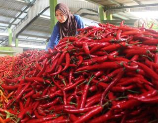 Inflasi Kota Malang Pada Februari Terkendali