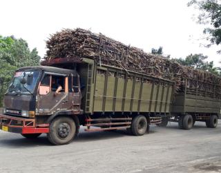 Pabrik Gula Subang Beroperasi 2024