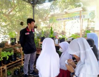 Mahasiswa PMM UMM Berkolaborasi dengan SD Negeri Merjosari 5 Untuk Pengelolaan Green House Guna Mewujudkan Sekolah ADIWIYATA