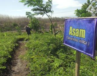 Sepanjang 2020 PT BSI Serahkan Lahan kompensasi Seluas 1.603,64 Hektare