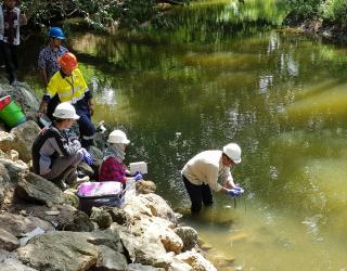PT BSI Klaim Selalu Manjaga Lingkungan Area Pertambangan Tujuh Bukit