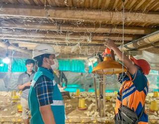 Lewat Program Electrifiying Agriculture PLN Tingkatkan Sektor Pertanian