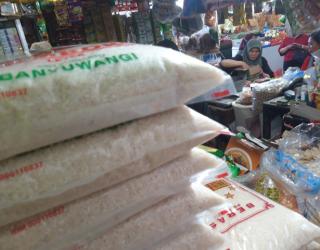 Lahan Padi Seluas 15 ha  di Jatim Gagal Panen. Penyebabnya Ini..