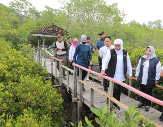 Festival Magrove ke Empat di Pusatkan Trenggalek. Respon Gubernur Jatim Begini…