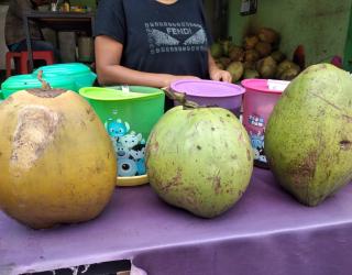 Penjual Bakso Kehilangan Kelapa Muda. Ternyata di Curi Jin Cilik