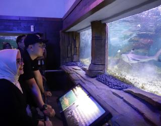 Tarif Wisata Surabaya Night Zoo Rp100 - Rp150 Ribu? Layak atau Tidak ?