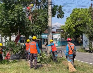 Tingkat Keamanan Jaringan Listrik Bagi Masyarakat, PLN UP3 Madiun Laksanakan Grab Potas