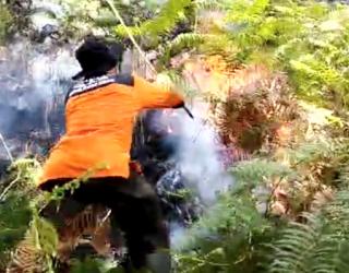Pendakian Gunung Arjuno Dibuka Usai Kebakaran Hutan