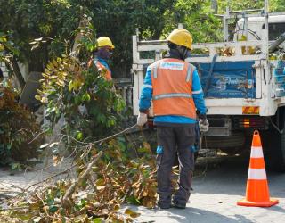 Borderless Rabas Pohon Untuk Tingkatkan Keandalan Jaringan
