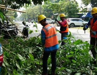 Rabas dan Tebang Pohon Dekat Jaringan Listrik, Efektif Turunkan Gangguan di Malang Raya
