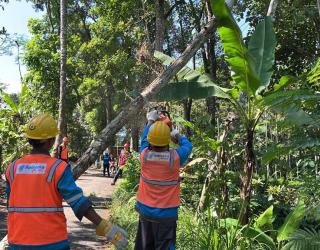 PLN Berhasil Amankan 2.8 Juta kWh Melalui Grebek Jaringan Listrik
