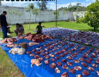 PLN NP Bagikan 51 Ribu Paket Daging Hewan Kurban