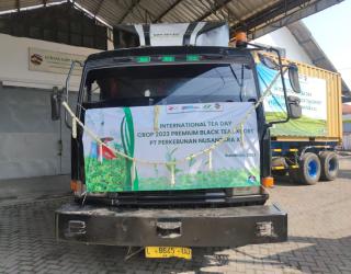 13 Ton Teh Hitam Made In PTPN XII Terbang ke Singapura