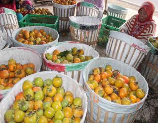 Antioksidan Buah Ini Mencegah Kanker, Cepat Beli Sebelum Terlambat