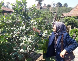 Universitas Brawijaya Hadirkan Desaverse Unggulan MMD 1000 Desa