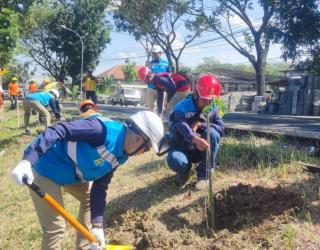 Hingga Juli PLN UID Jatim Mampu Tanam 20 Ribu Mangrove dan 1010 Pohon Produktif