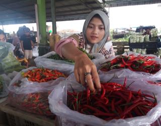 Harga Cabai Melonjak Setara 5 Kilo Beras