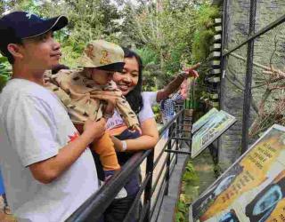 Kinerja Okupansi Hotel Bintang di Jatim Turun 6,73 Persen