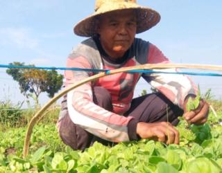 Industri Hulu - Hilir Tembakau Jadi Denyut Nadi Perekonomian Jatim