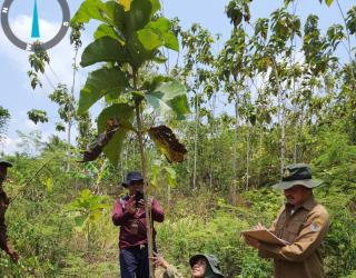 Reboisasi Sukses, Lahan Kompensasi BSI Jadi yang Terluas