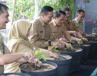 Dispangtan Kota Malang Gulirkan Bantuan Bibit Cabai