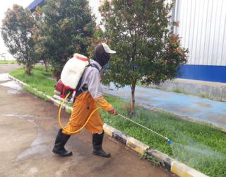 Warga Apresiasi DLH Responsif Kendalikan Lalat di Supiturang