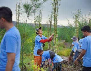 Peringati Hari Bumi 2024, PLN Bersama DLH Surabaya Gelar Tanam Pohon