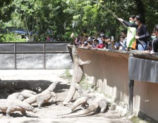 Liburan Lebaran di Kebun Binatang Surabaya? Pahami Aturannya!