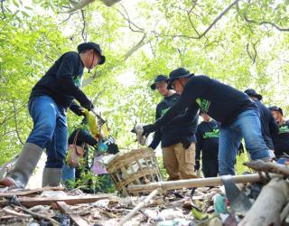 Peringati Hari Lingkungan Hidup Sedunia, PLN Libatkan Ratusan Pegawai Bersihkan Hutan Mangrove