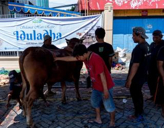 Gandeng LMI, TPS Bagikan Daging Kurban untuk Mitra dan Masyarakat