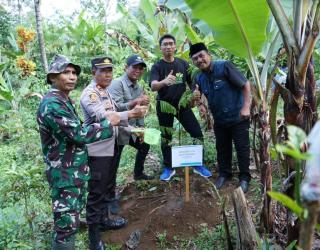 Wujudkan Kepedulian Lingkungan, PLN Gelar Aksi Tanam Ribuan Pohon di Banyuwangi dan Sumenep