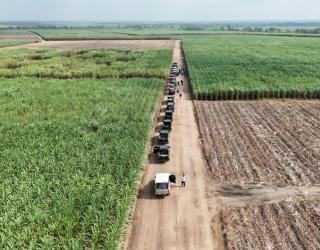 Giling Tebu SGN Sudah Capai 4,1 Juta Ton