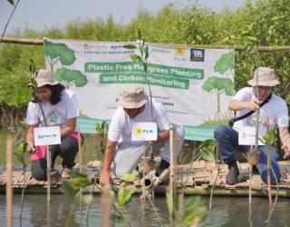 Peringati Hari Mangrove Sedunia, PLN Tanam 1.000 Mangrove Bebas Plastik di Surabaya
