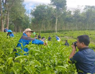 Perkuat SDM, PTPN I Regional 5 Gelar Pelatihan Fotografi Bagi Admin Sosmed