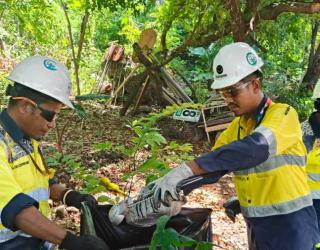 Sepanjang 2022 - 2024, Merdeka Copper Gold Tanam 5.500 Bibit Mangrove