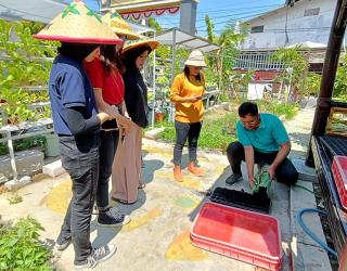 Alfamart Dorong Variasi Tanaman di Kampung Binaan Perlu Diperbanyak