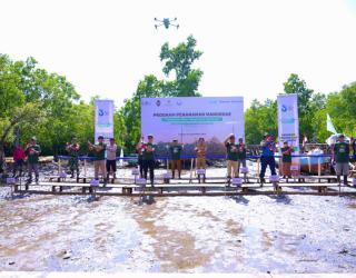 Pelindo Terminal Petikemas Rehabilitasi 25 Hektar Kawasan Mangrove di Sulawesi Tenggara