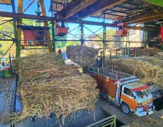 SGN Fokus Pacu Produktivitas Petani Tebu Rakyat