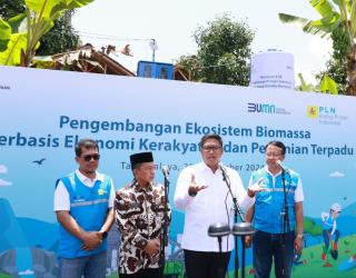 Ubah Lahan Kritis Jadi Hijau, PLN Kembangkan Ekosistem Biomassa Berbasis Pertanian Terpadu
