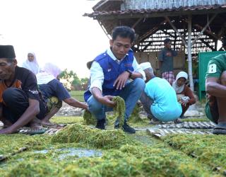 Rencana Pemerintah Batasi  Kadar Nikotin Produk Rokok. Reaksi Kadin Jatim Begini