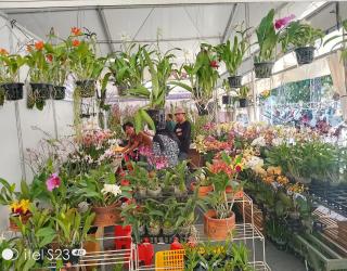 Pameran Anggrek Mencatat Transaksi Rp 3 Milyar