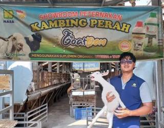 Alumnus FTP UGM Sukses Kembangkan Bisnis Susu Kambing Goatday