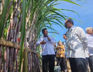 SGN Kebut Produktivitas Menuju Swasembada Gula Nasional