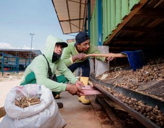 PLN NP Tingkatkan Kesejahteraan Petani Tuban Melalui SIPANDU DESI