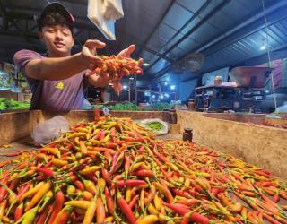 Harga Cabai di Jatim Melambung Dipicu Musim Hujan, Februari Diprediksi Panen