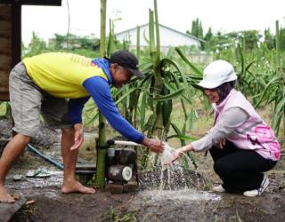Hemat Operasional hingga 41 Persen, Petani di Banyuwangi Rasakan Manfaat Positif Pompanisasi