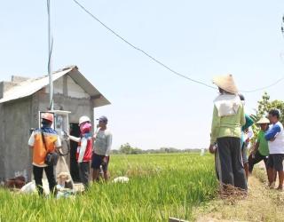 Dukung Tranformasi Pertanian Modern, Program EA PLN Raih 53.539 Pelanggan Baru di Tahun 2024