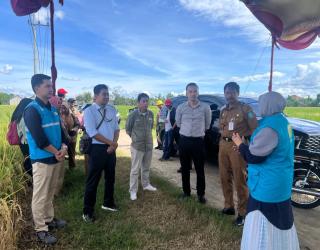 PLN Perkuat Ketahanan Pangan melalui Electrifying Agriculture di  Jawa Timur