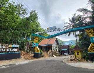 PLN NP Perkuat Ekonomi Berkelanjutan di Pariwisata Pacitan