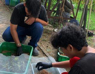 Angkat Perekonomian Warga Babatan, Mahasiswa UPN Veteran Jatim Bangun Rumah Maggot